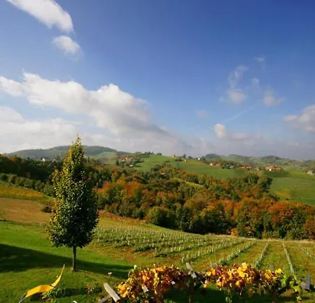 לינה וארוחת בוקר Gaeste- Und Vitalhaus Sauer 4*