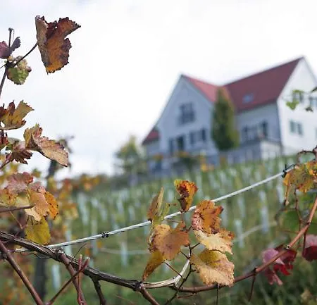 לינה וארוחת בוקר Gaeste- Und Vitalhaus Sauer 4*