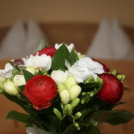 Gaeste- Und Vitalhaus Sauer קיצק אים זאוזל