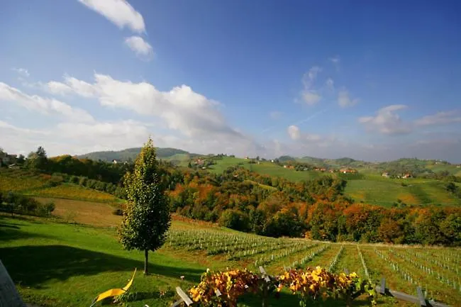 Bed & Breakfast Gaeste- Und Vitalhaus Sauer 4*