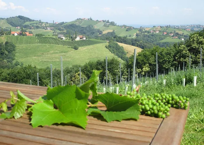 Gaeste- Und Vitalhaus Sauer Bed & Breakfast