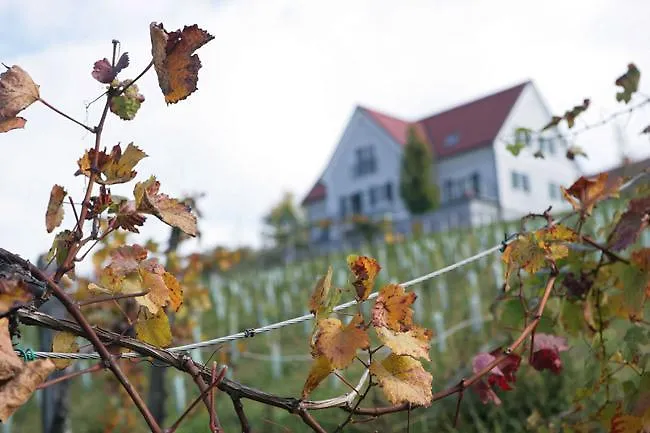 Bed & Breakfast Gaeste- Und Vitalhaus Sauer 4*