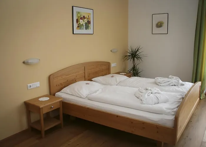 Bed & Breakfast Gaeste- Und Vitalhaus Sauer 4*